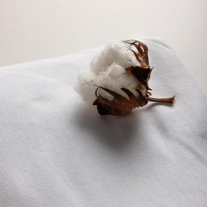 Sebra lak, Junior, Classic White