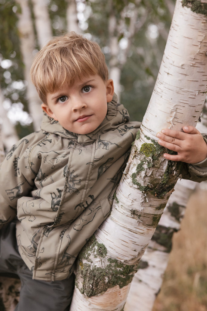 Osak vetrarjakki, Dinosaurs