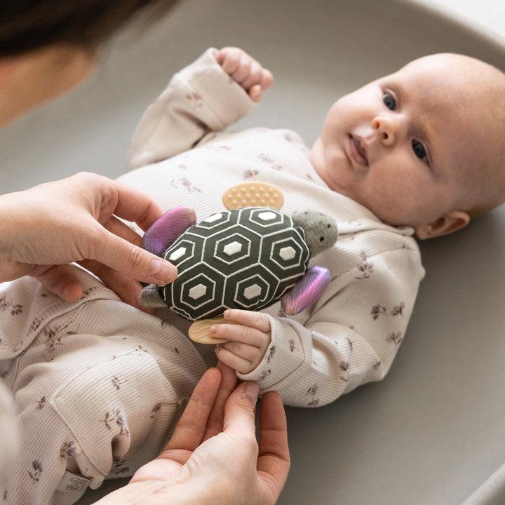 Turbo the Turtle rangla