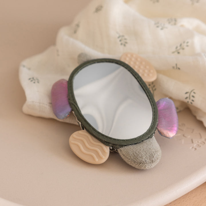 Turbo the Turtle rangla