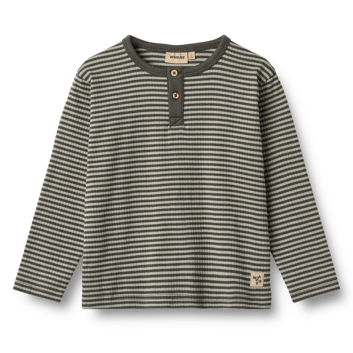 Morris bolur, Winter Forest