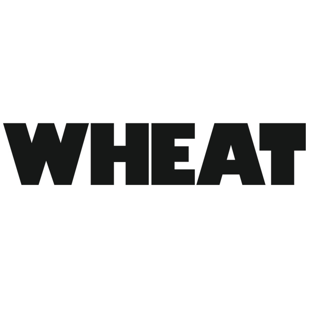 Morris bolur, Winter Forest