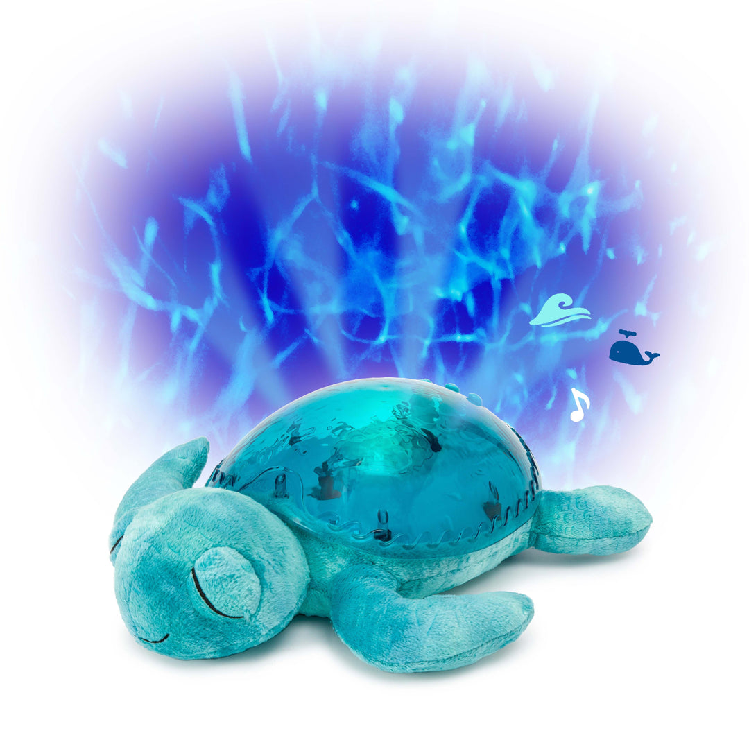 Tranquil Turtle, Aqua
