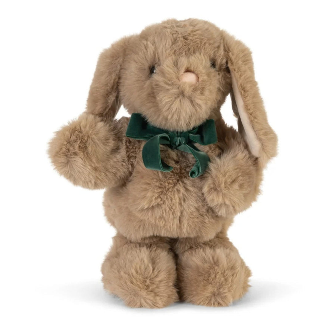 Dancing & Talking Bunny