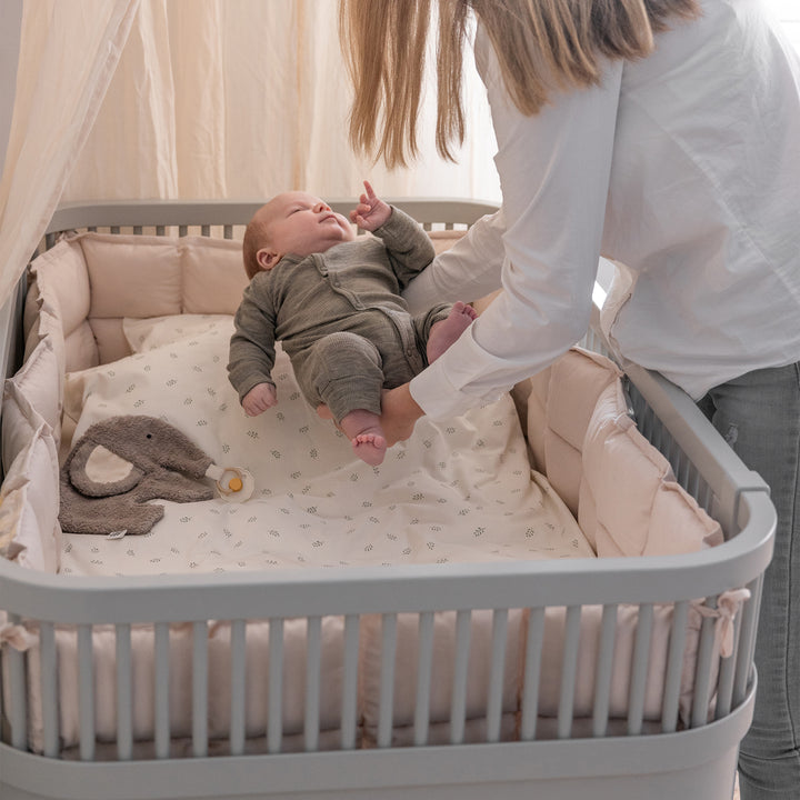 Sebra rúm, Baby og Junior, Stone