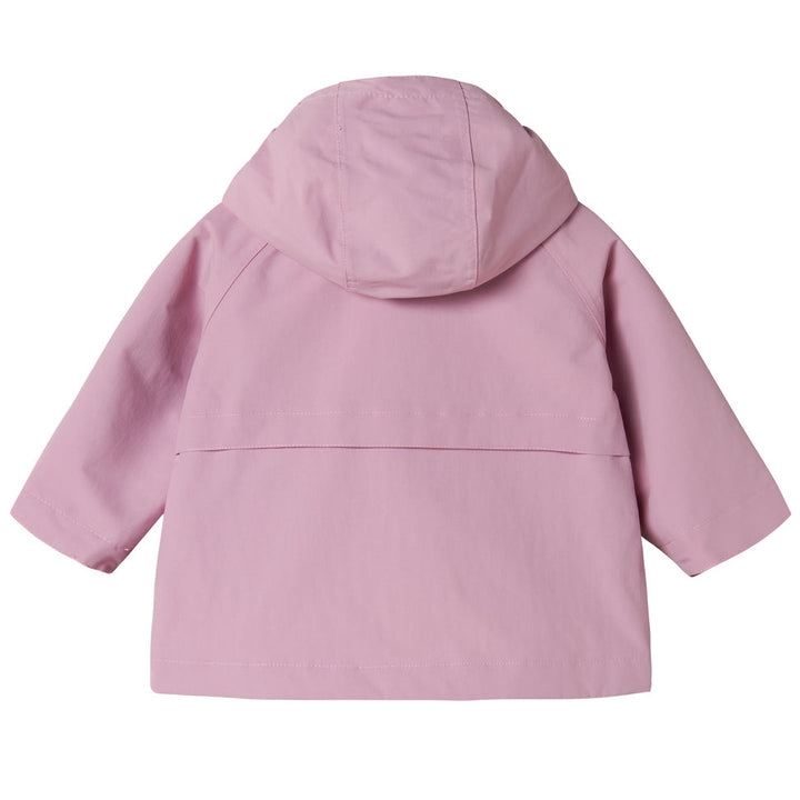 Ovi jakki, Berry Smoothie