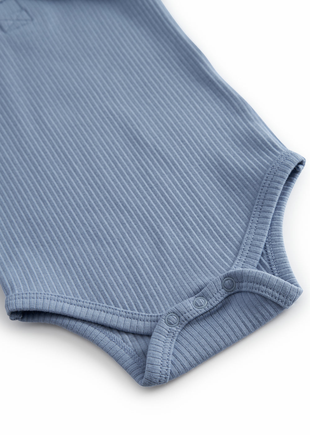 Modal body, Blue Iris