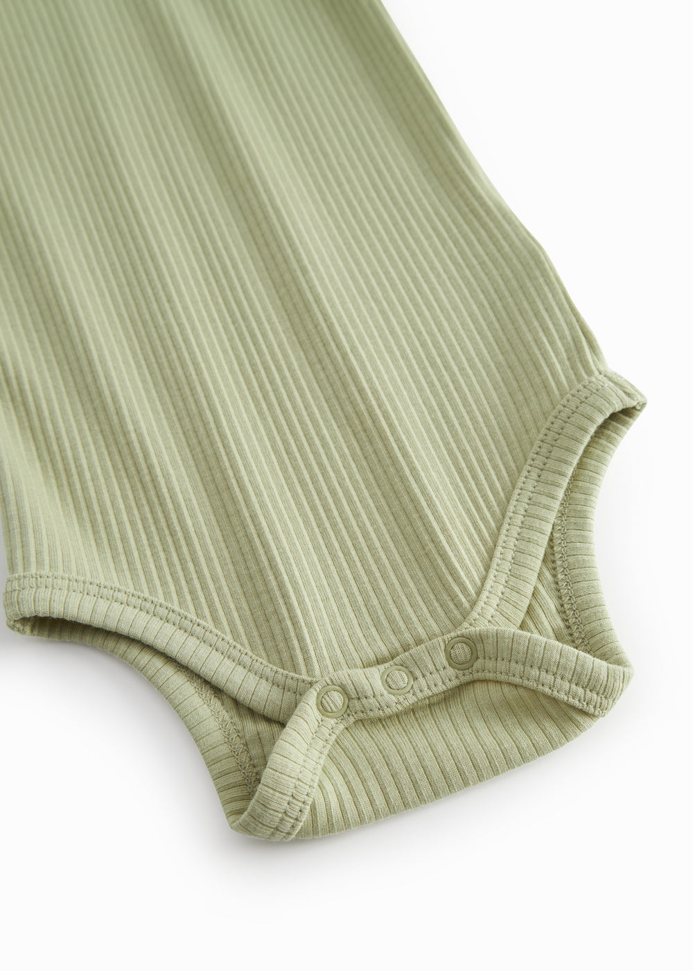 Modal body, Dried Bay