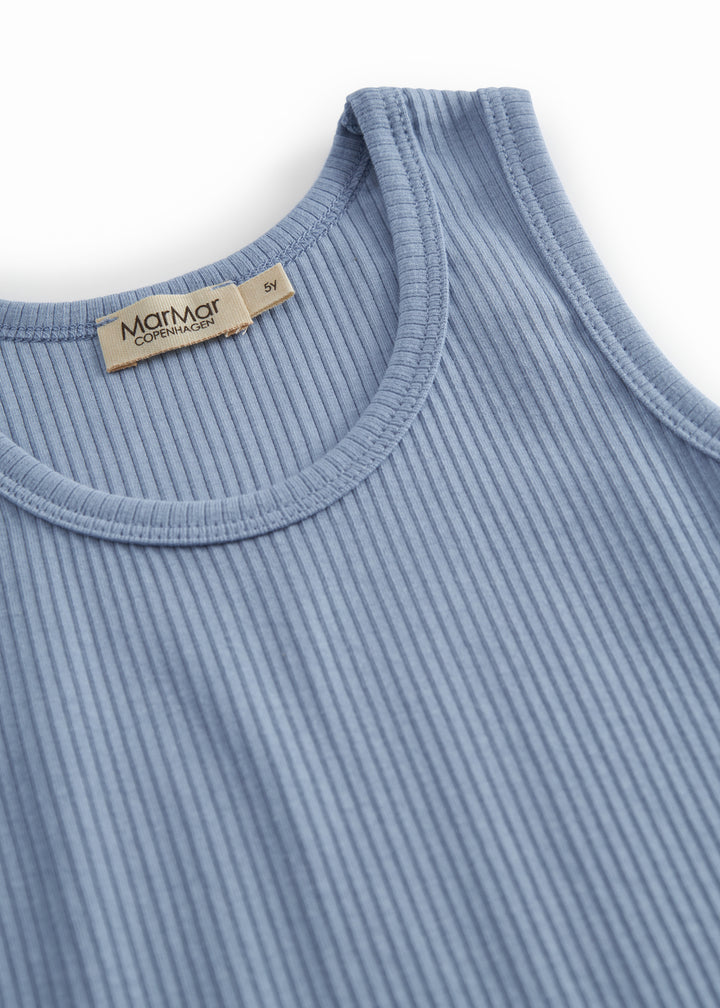 Modal undirtroyggja, Blue Iris