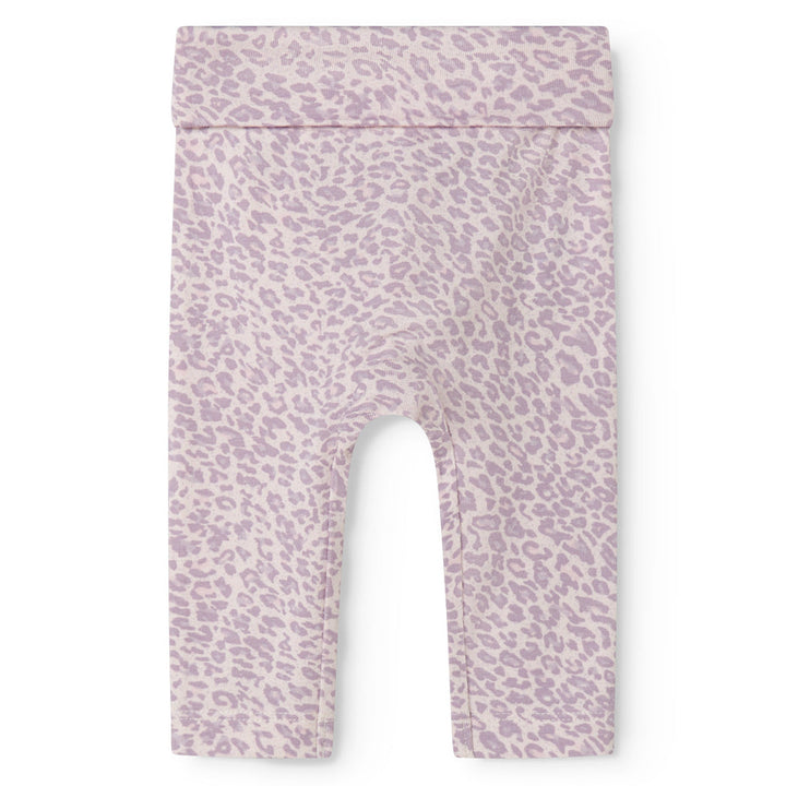 Piva buksur, Lilac Leo