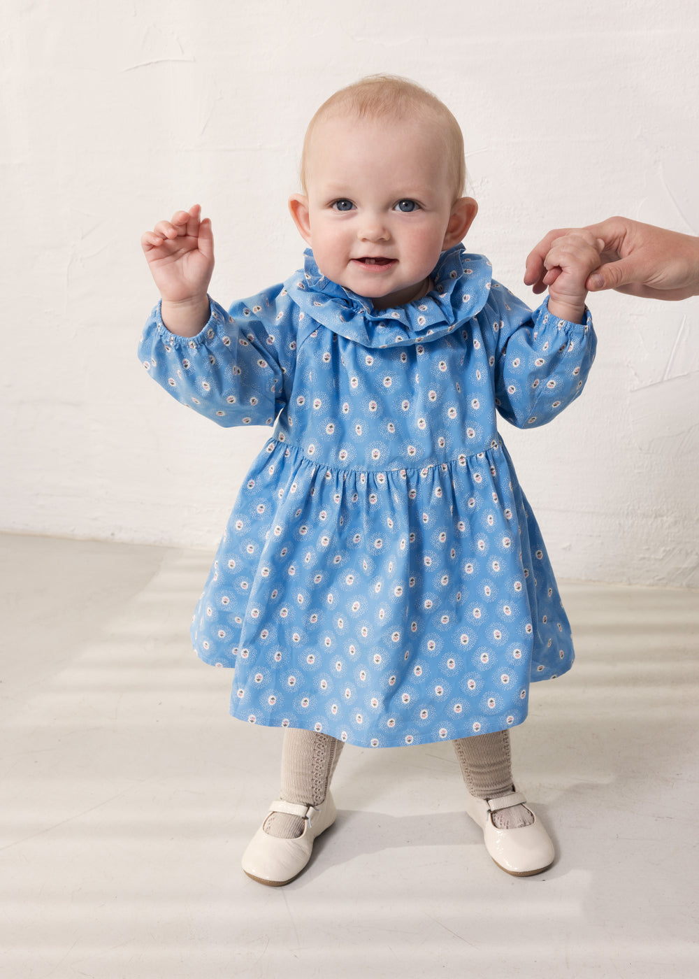 Dalin kjóli, Little Tulip