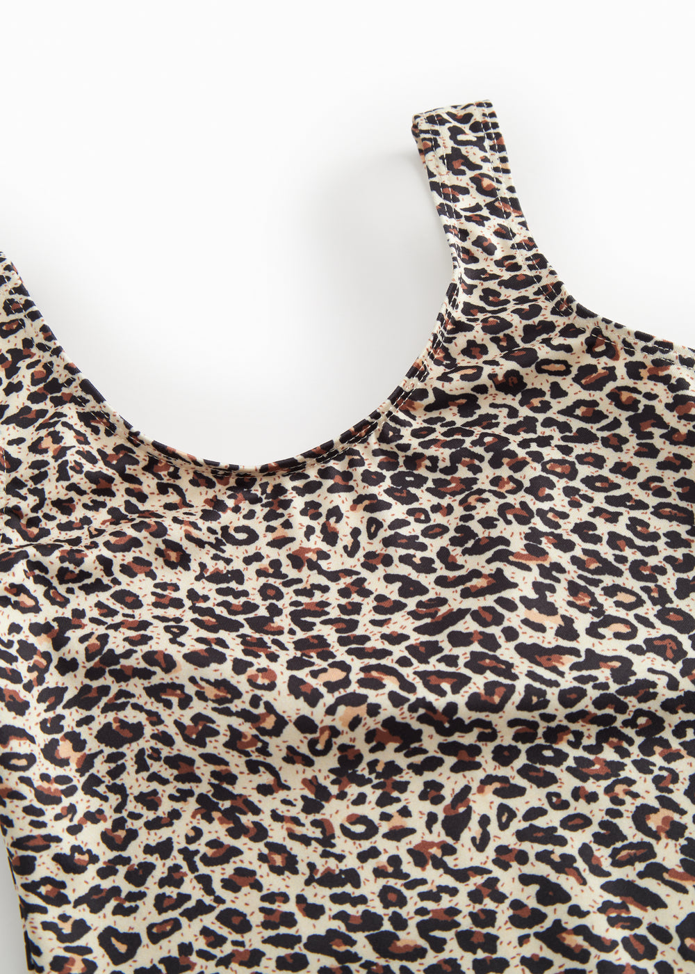 Swallisa svimjidrakt, Brown Leo