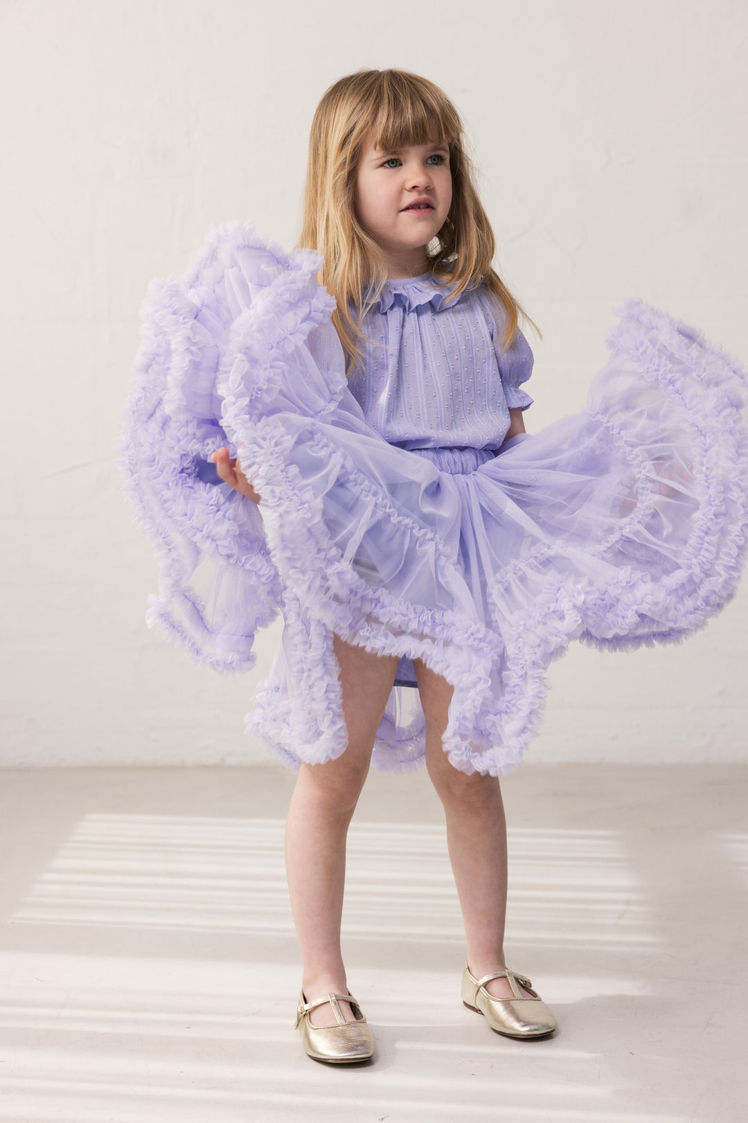 Sipa niðurdeilur, Ice Lavender