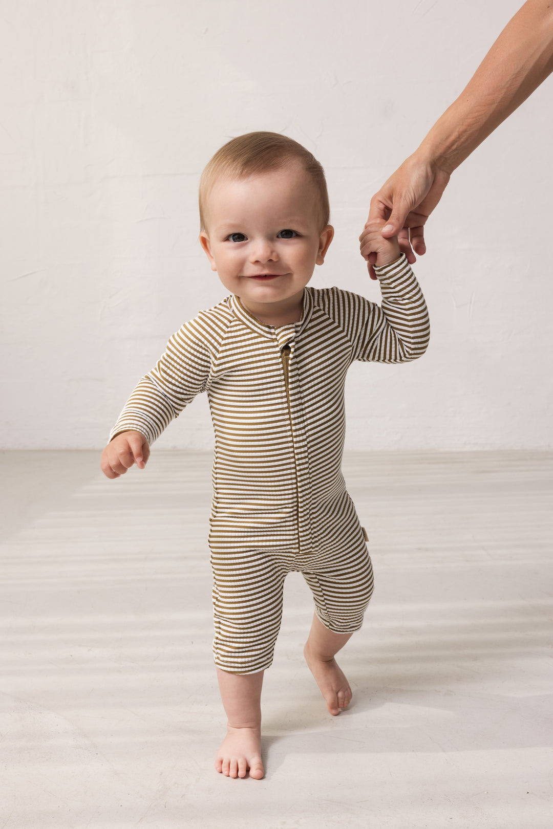 Swal svimjidrakt, Dark Bronze Stripe