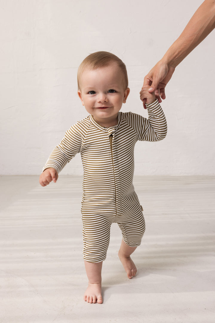 Swal svimjidrakt, Dark Bronze Stripe