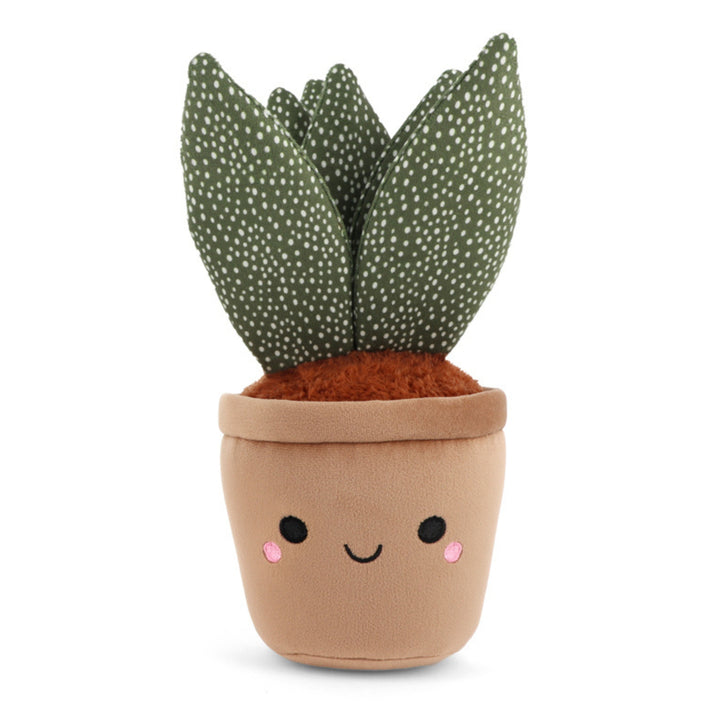 Botanical Garden, 25 cm