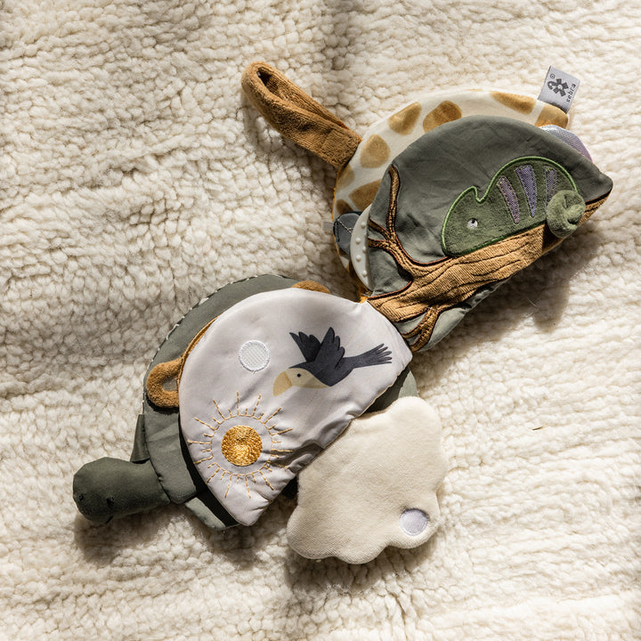 Turbo the Turtle toybók