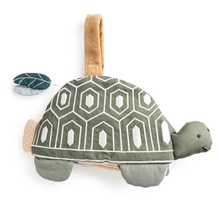 Turbo the Turtle toybók