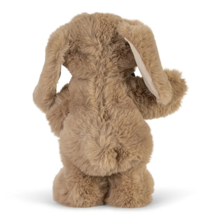 Dancing & Talking Bunny