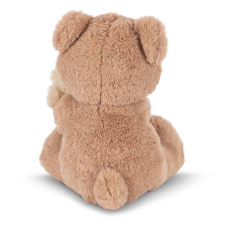 Teddy Hugs