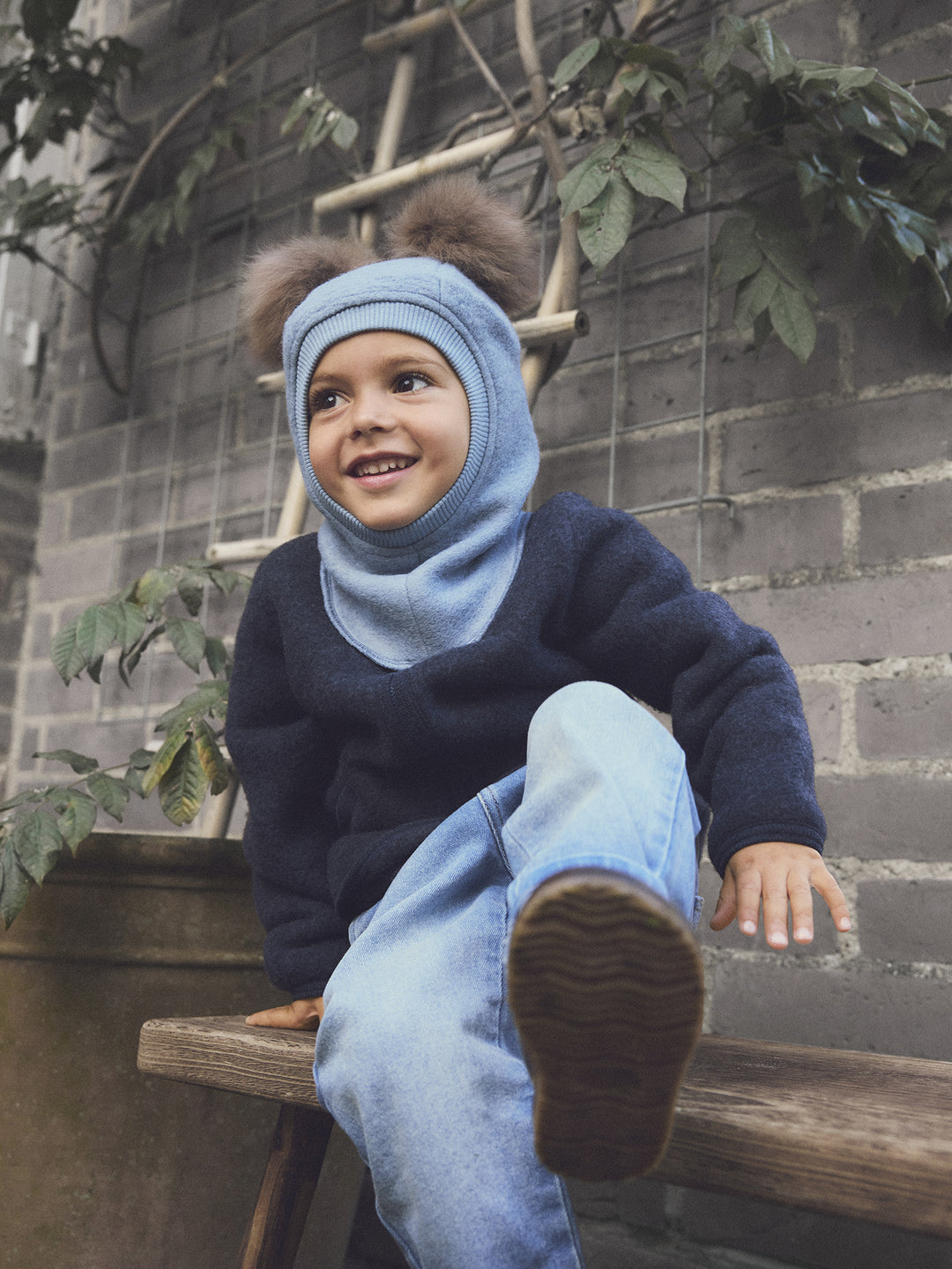 Alpaca brølapa, Windward Blue
