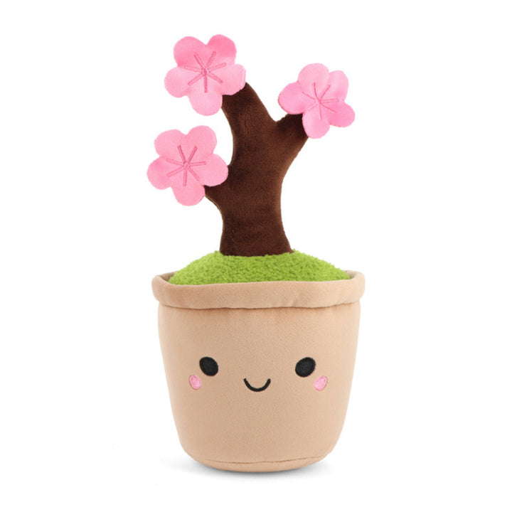 Botanical Garden, 25 cm
