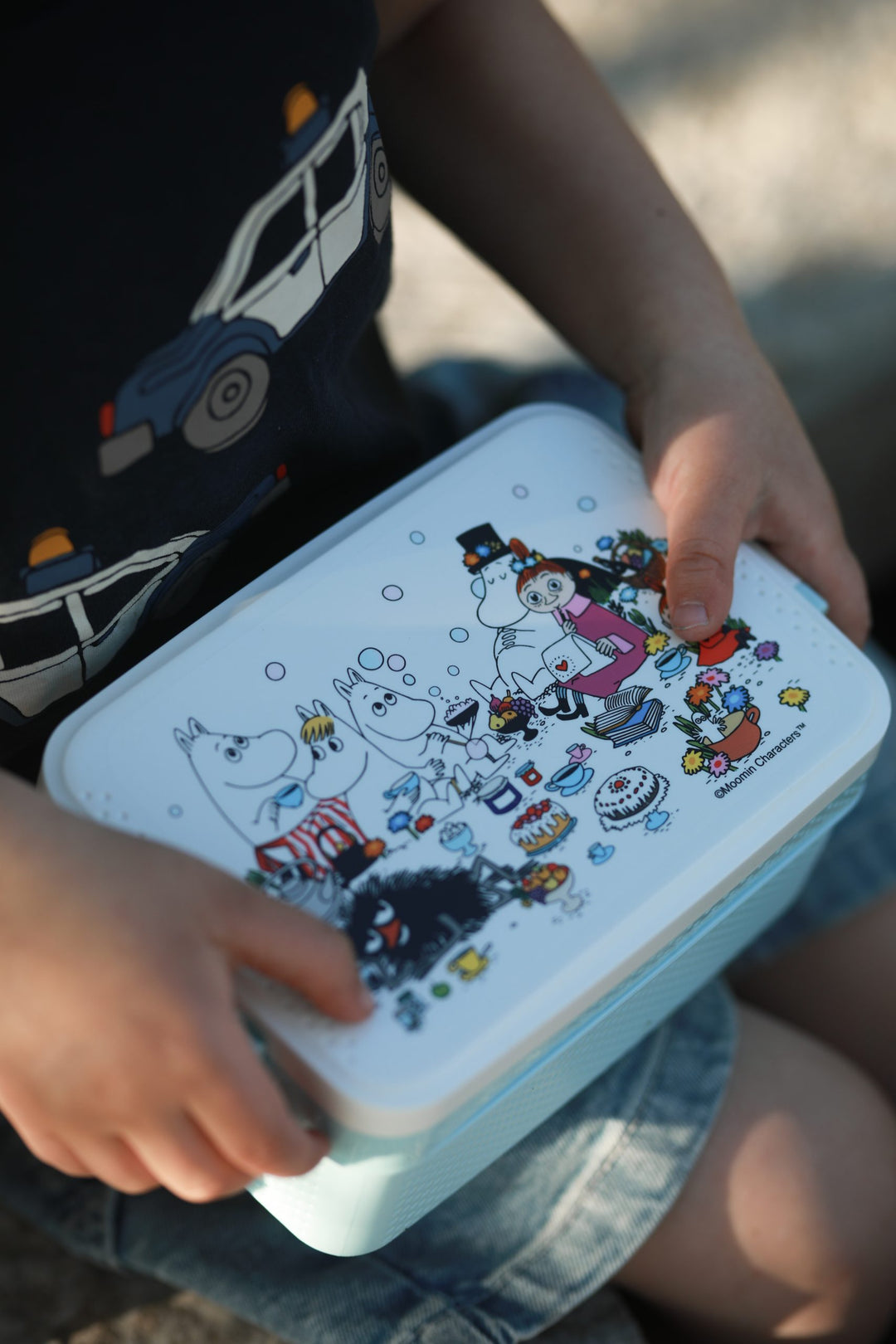 Moomin Picnic mateskja