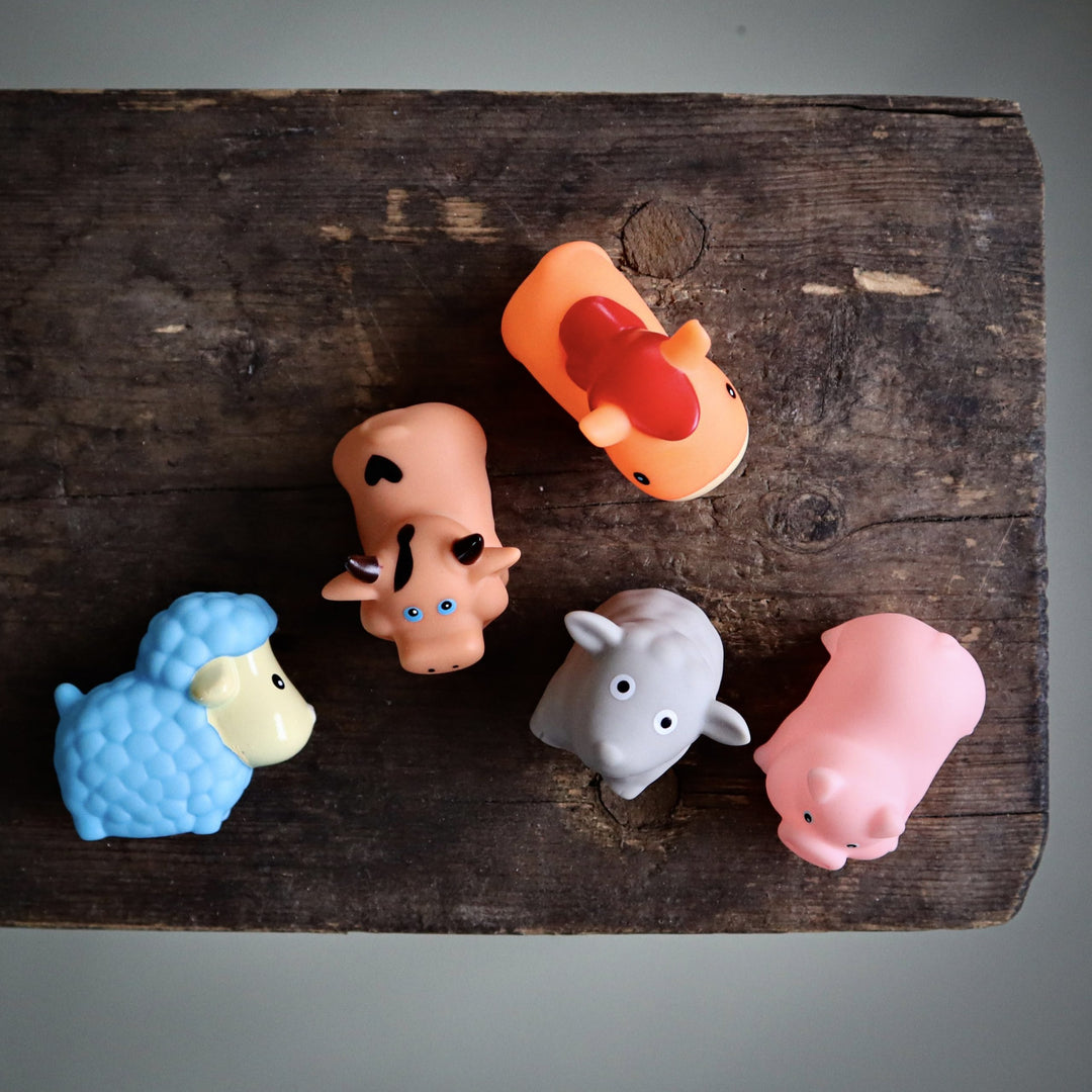 Bóndadjór baðileika, 5 stk