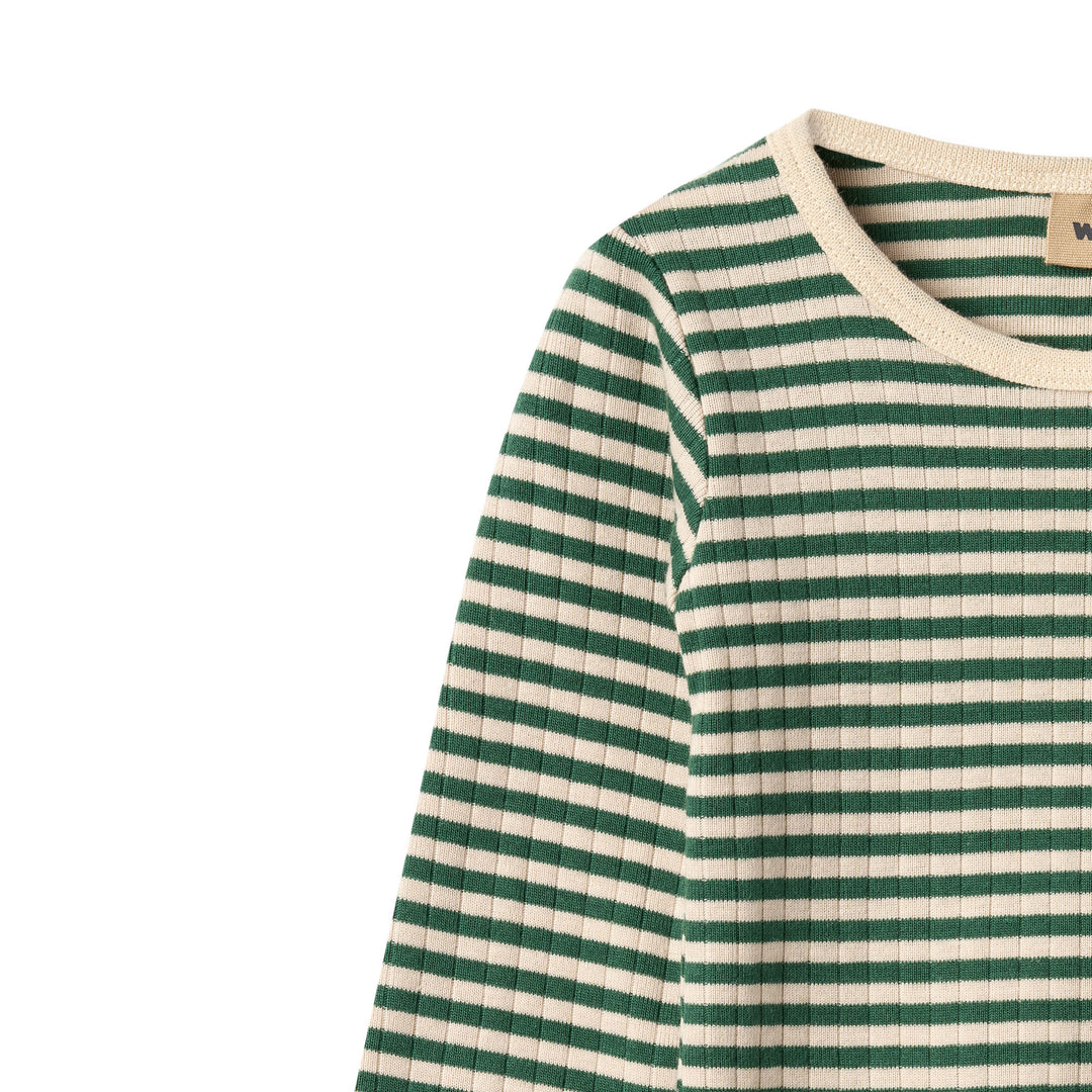 Berti body, Green