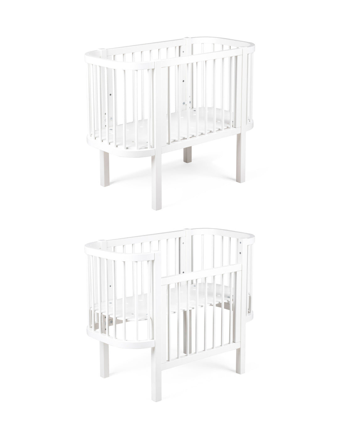 Sebra hjá-song, White