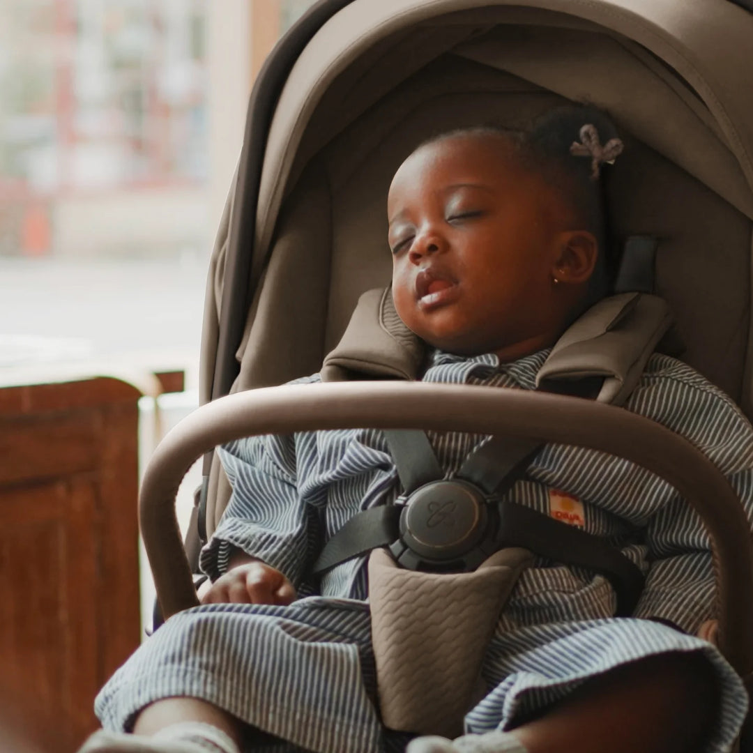 Cove kombivognur, Maple