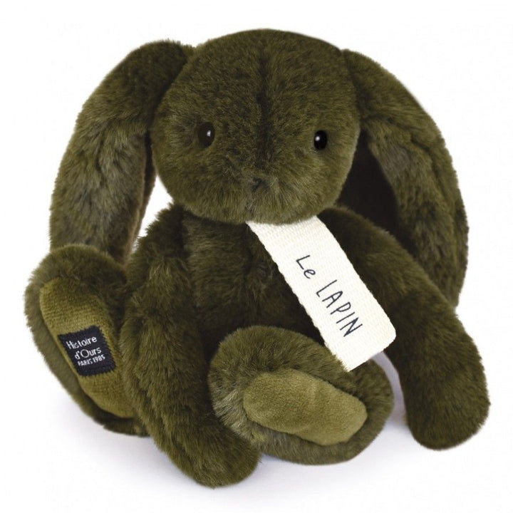 Histoire d'ours, 20 cm, Green