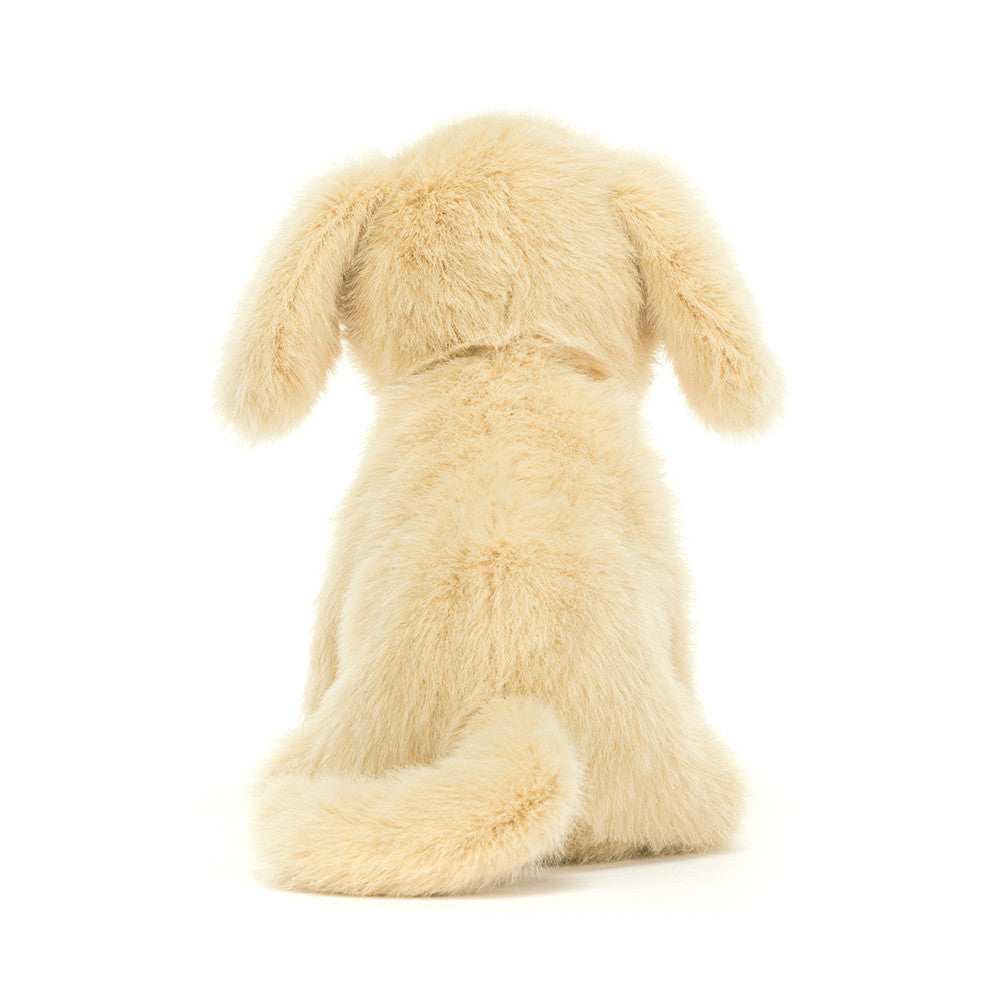 Golden Puppy