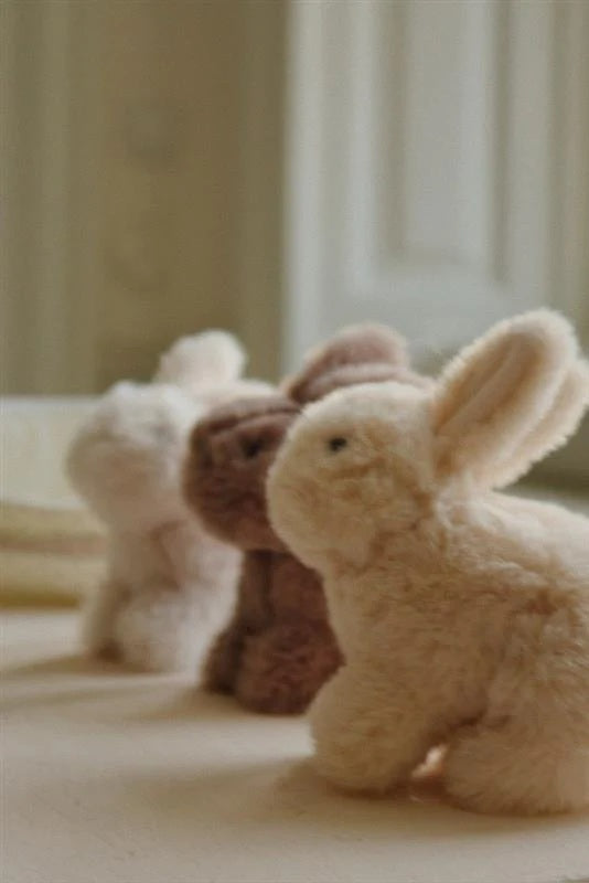 Bunny Love