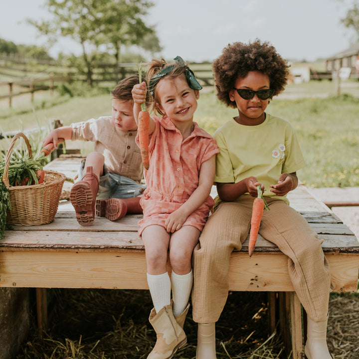 Kjóli, Blused Terra