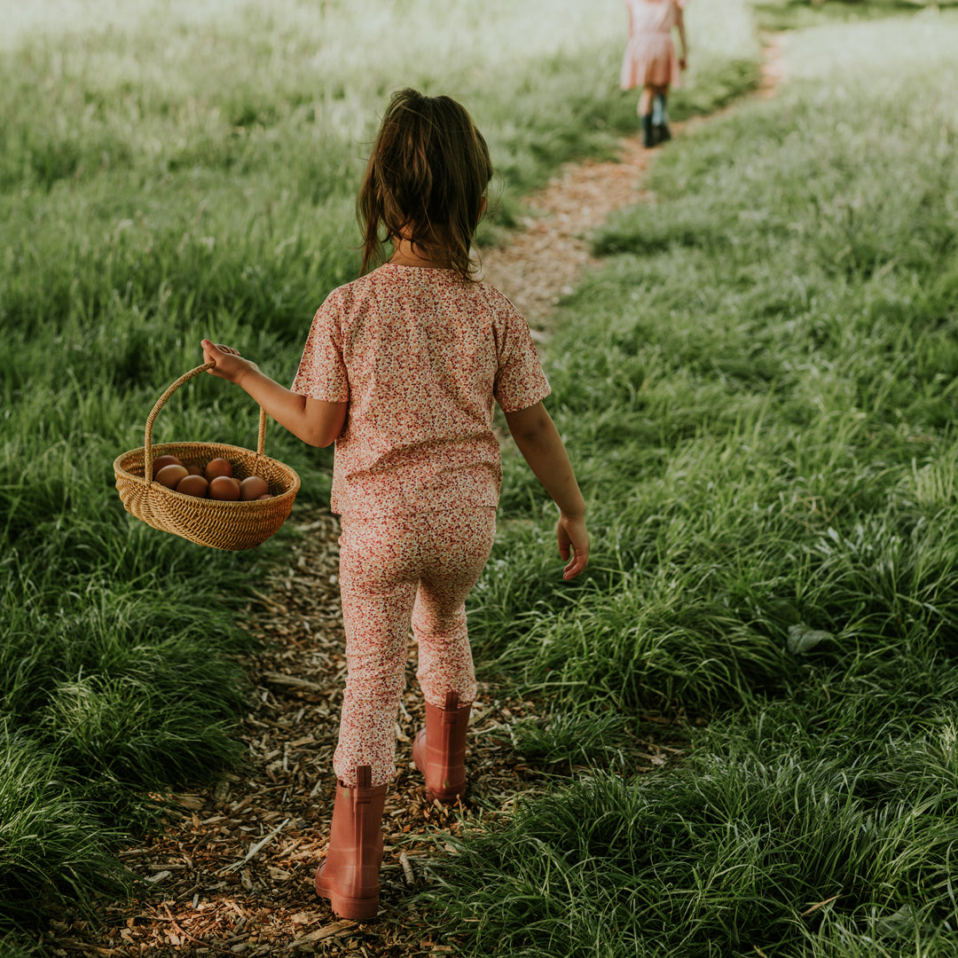 Buksur, Blused Terra