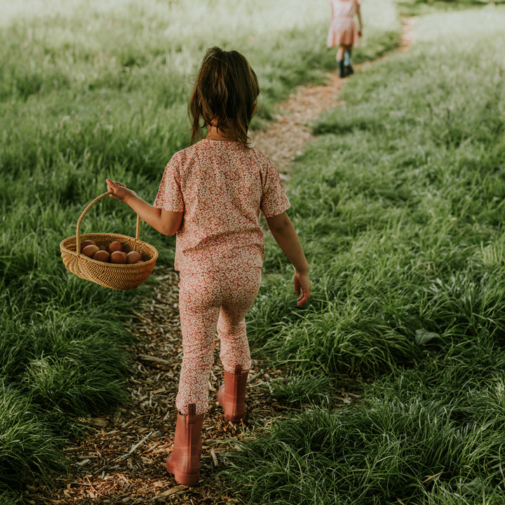 Buksur, Blused Terra