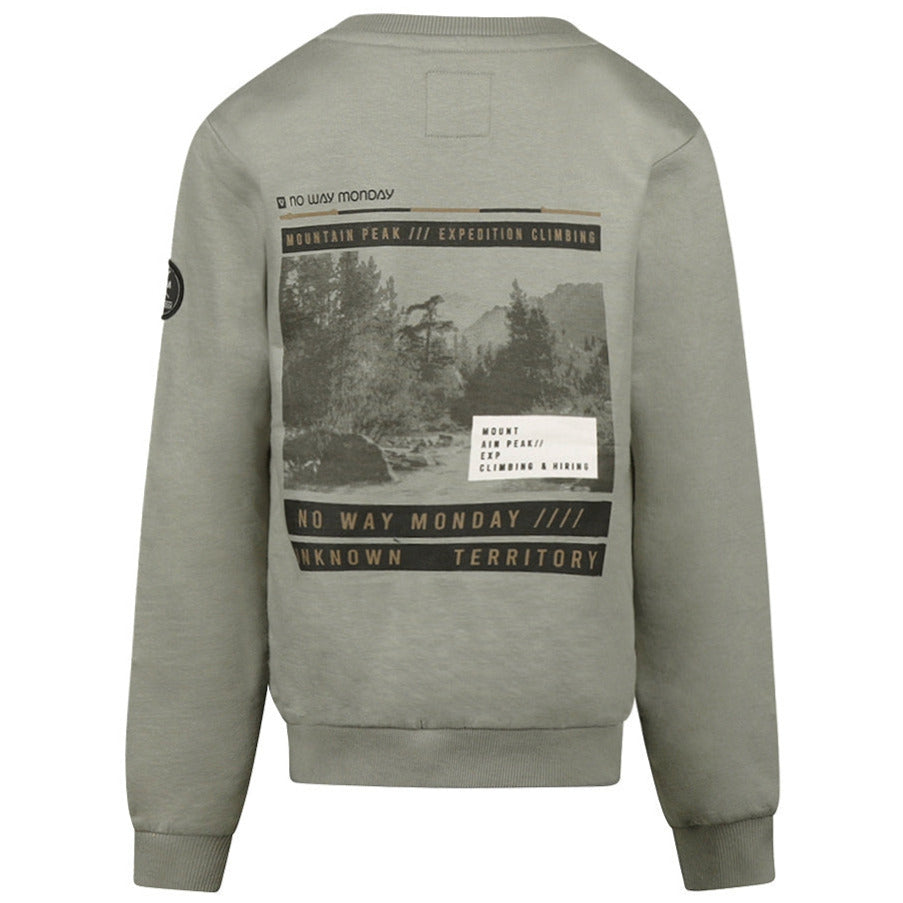 Sweatshirt, Faded Green