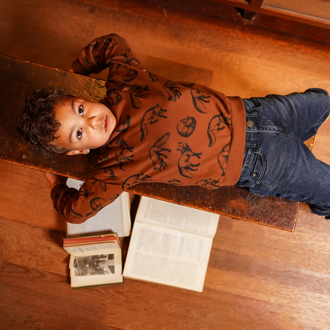 Sweatshirt, Brown