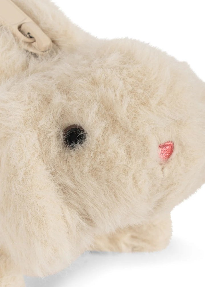 Teddy mappa