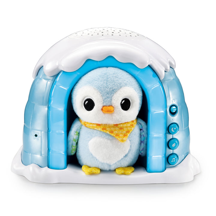 Starlight Igloo