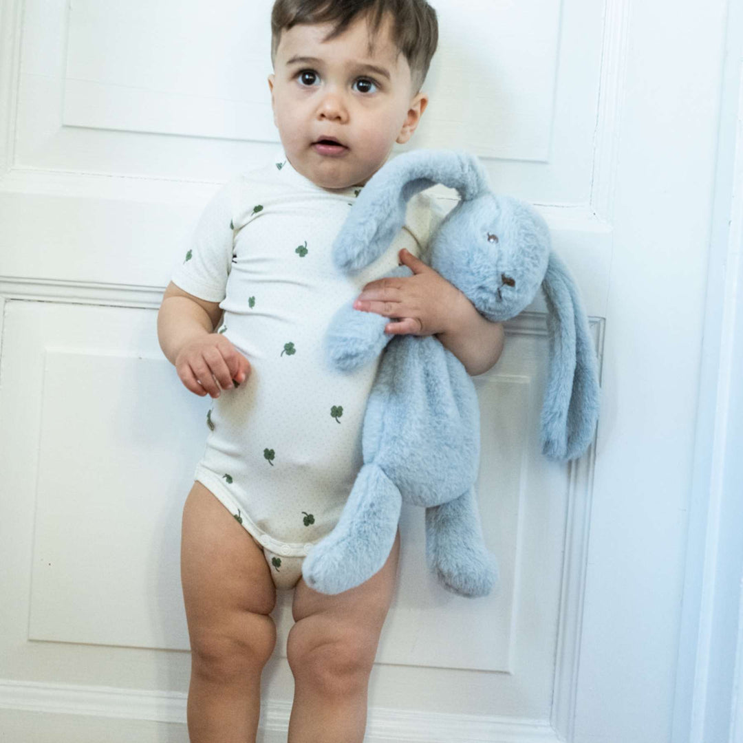 Houston tyngdarbamsa