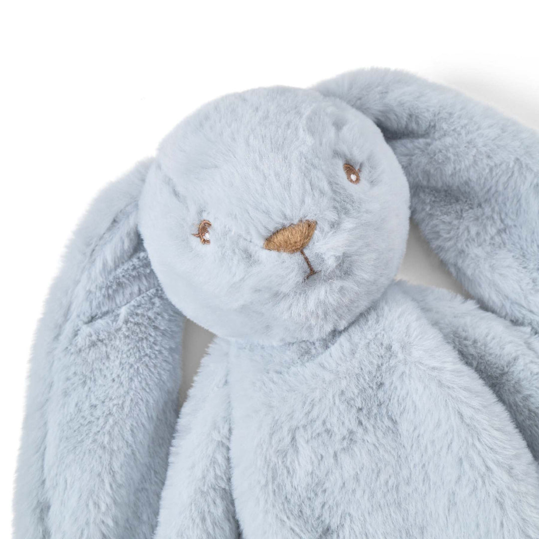 Houston tyngdarbamsa