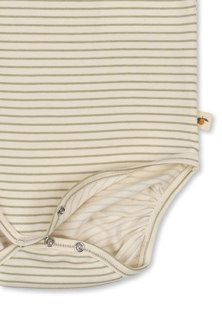 Basic body, Tea Stripe