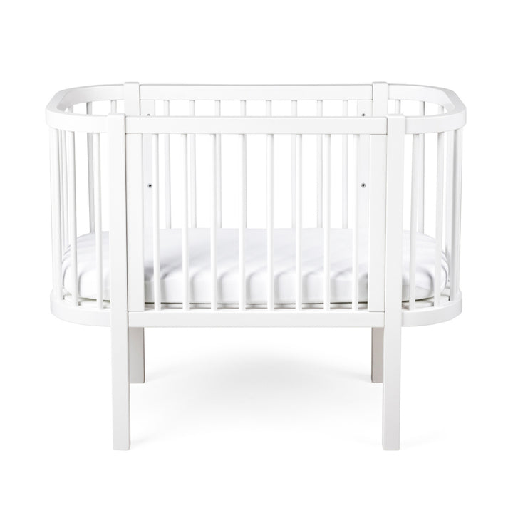 Sebra hjá-song, White