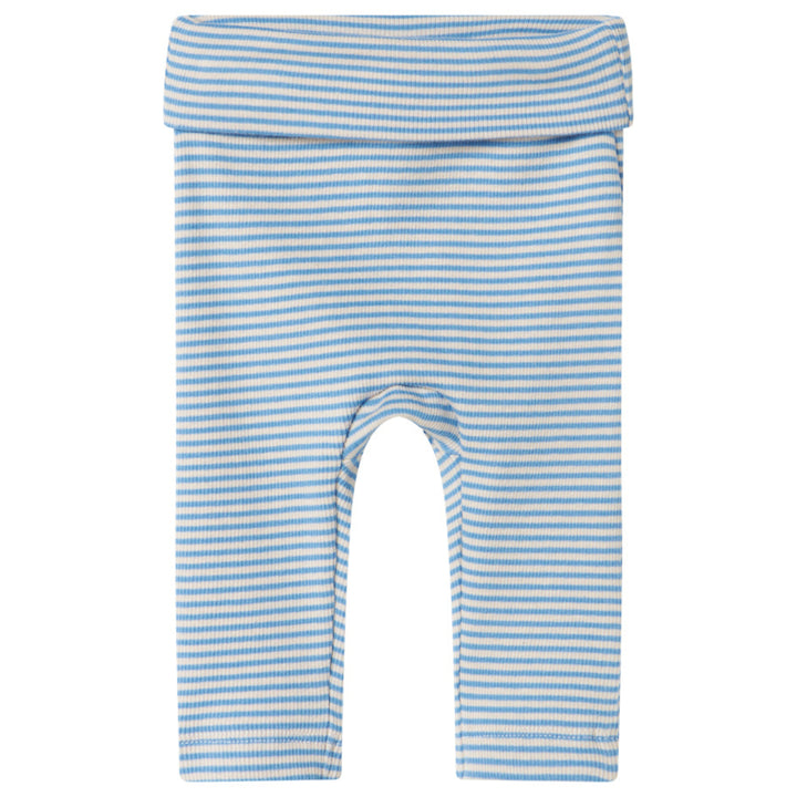 Piva buksur, Blue Stripe