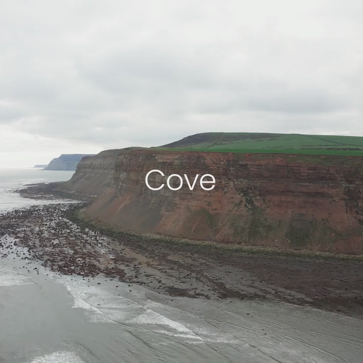 Cove kombivognur, Pewter