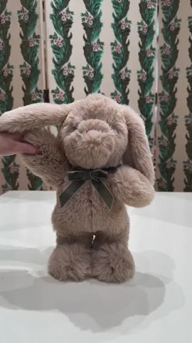 Dancing & Talking Bunny