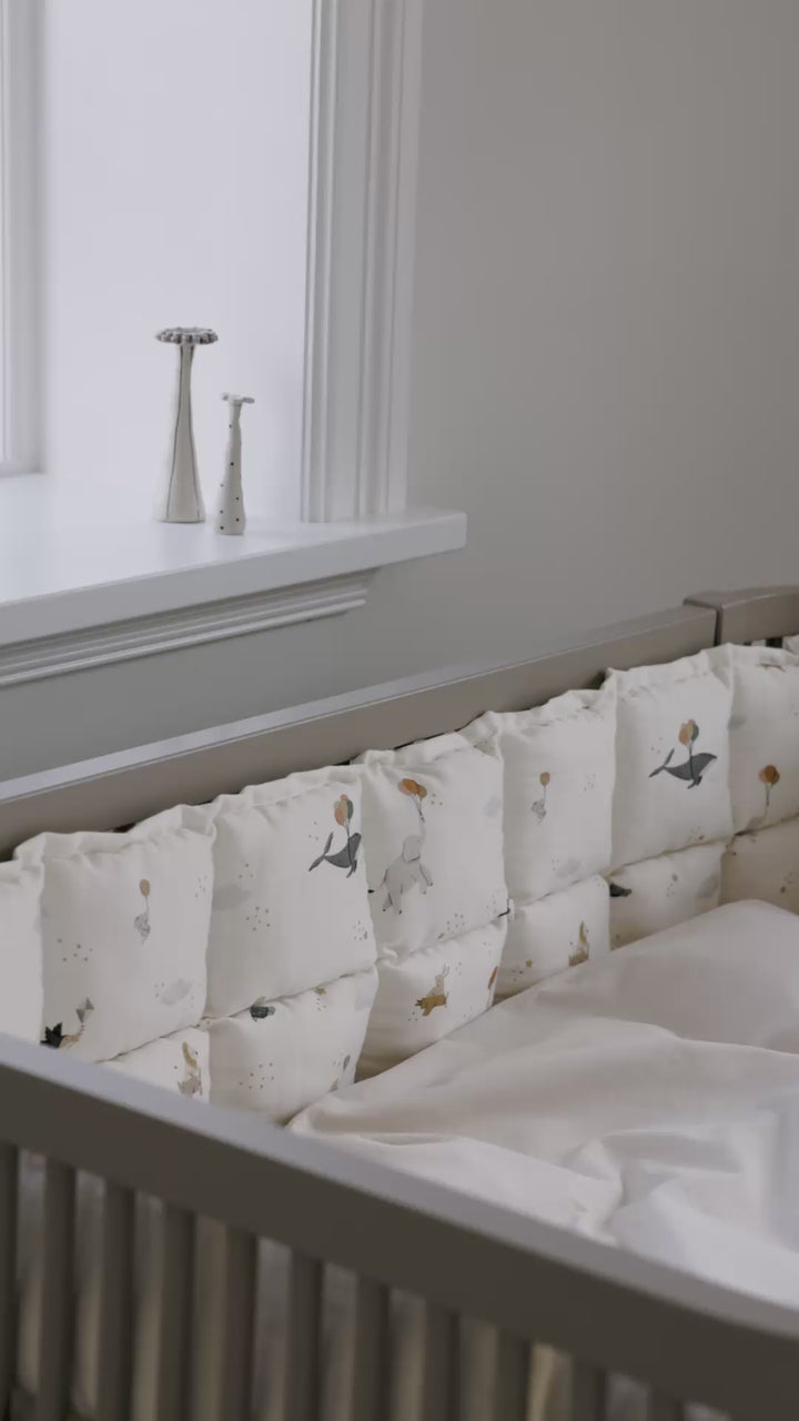 Seingjarrond, World of Sebra