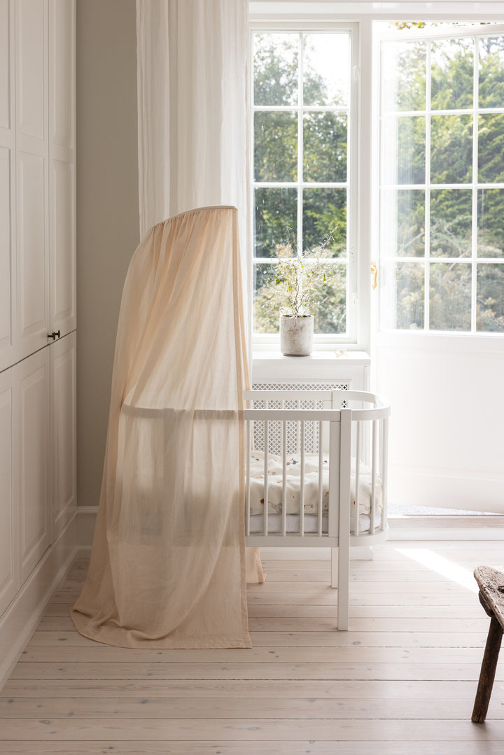 Sebra hjá-song, White